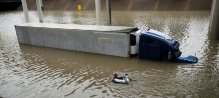 harvey92.jpg