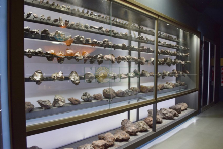 museo2.jpg