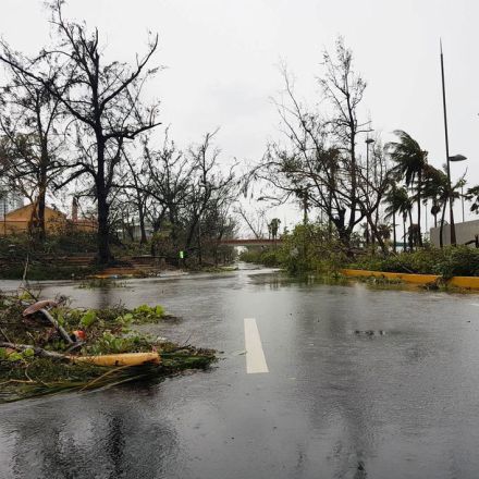 puerto-rico2.jpg