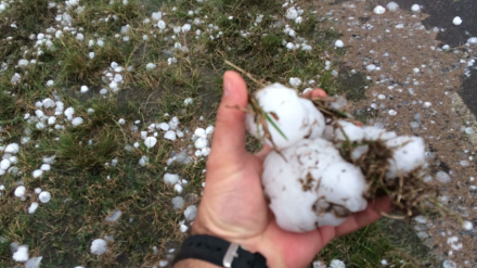 granizo 2.jpg