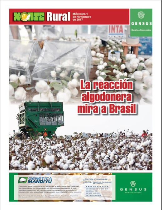 La reacción algodonera mira a Brasil