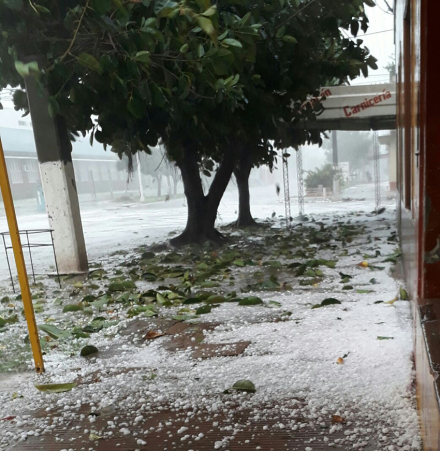 granizo 5.jpg