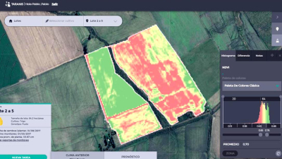 Taranis, la plataforma de precisión digital creada para disminuir pérdidas en la agricultura