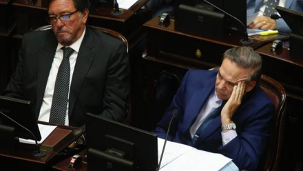 picheto.jpg