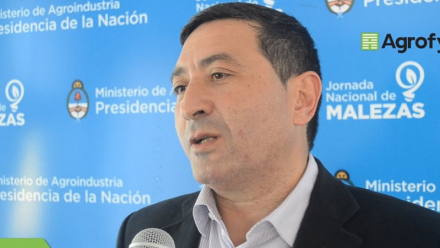 CARLOS-DI-BELLA.jpg