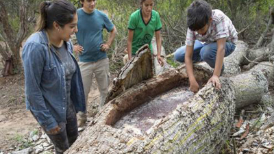 Vivir del bosque: el desafío de mejorar el hábitat en zonas pobres y aisladas