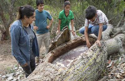 Vivir del bosque: el desafío de mejorar el hábitat en zonas pobres y aisladas