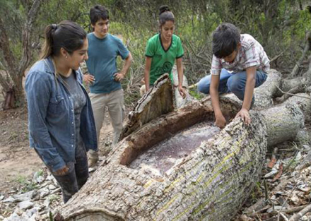 medio-ambiente-2592704h350.jpg