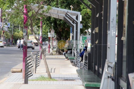 paro colectivos.jpg
