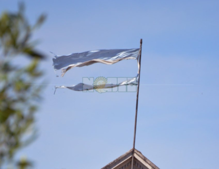 bandera.jpg copy