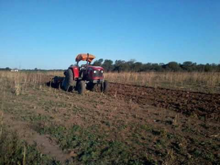tractor.png