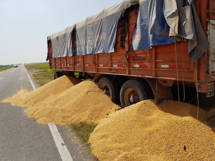 TRANSPORTISTAS-GIRASOLERO1.jpg