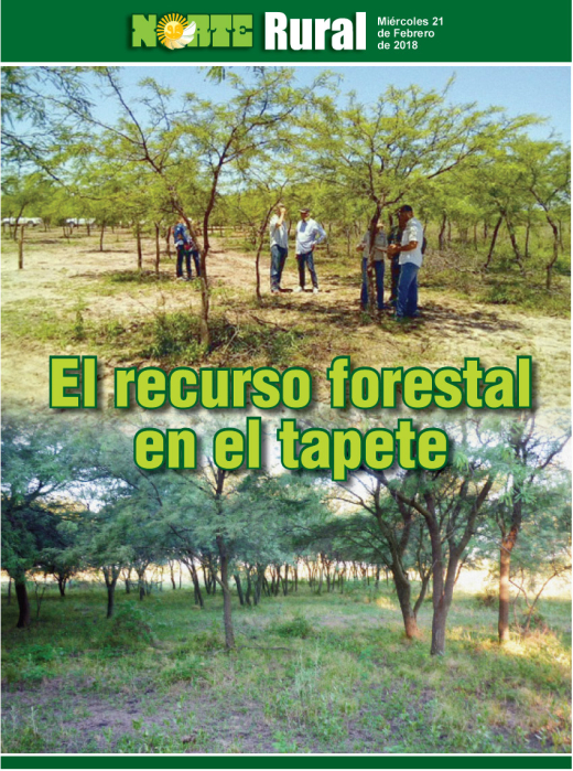 El recurso forestal en el tapete