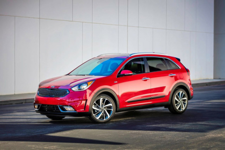 Niro.jpg