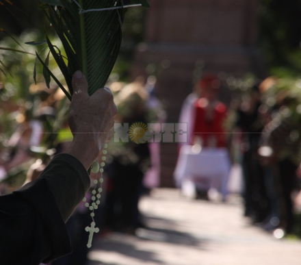 Domingo de ramos 3.jpg