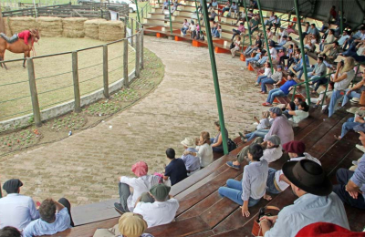 El Congreso Equino trasciende  fronteras y busca ampliar sus horizontes