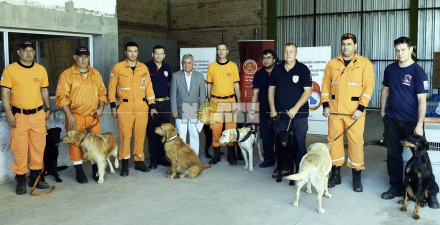 perros policias.jpg