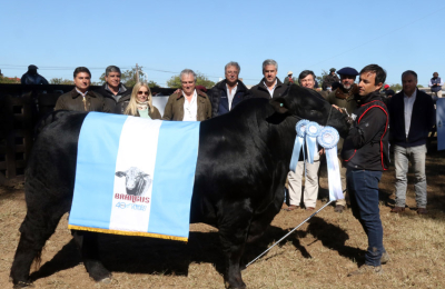 La Brangus se consolida en el Norte y conoció a sus grandes campeones