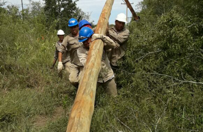 Electrificación rural, clave para el arraigo y la producción