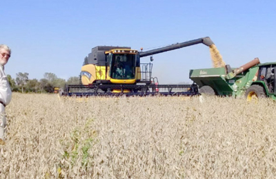 El impacto del dólar en el campo según la opinión de los productores