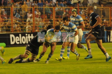 pumas2.jpg