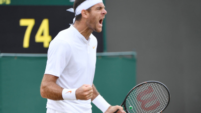 Del Potro avanzó a cuartos de final de Wimbledon y enfrentará a Nadal