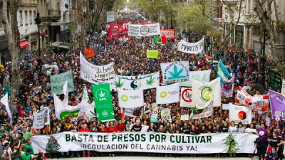 Nuevo Código Penal: despenalización del consumo de drogas y autocultivo de cannabis