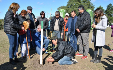 53-PLANTACION ARBOL COLOMBIA.jpg