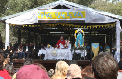 Fabriciano Sigampa: “No se trata de una ley sino que se trata de la muerte de un indefenso”