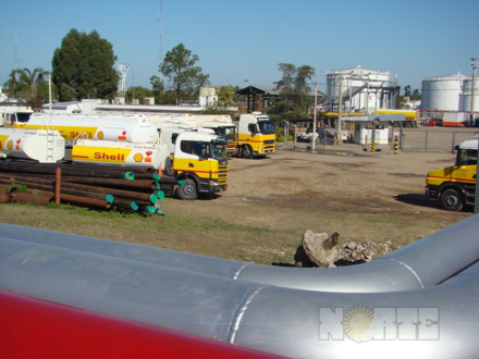 shell01.jpg