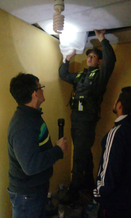 trespalos.jpg