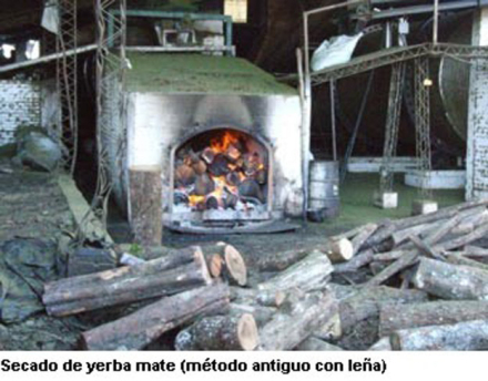 yerba3.jpg