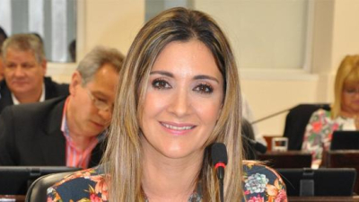 Aclaraciones de la diputada Claudia Panzardi