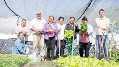 Poner en valor la horticultura en el Chaco