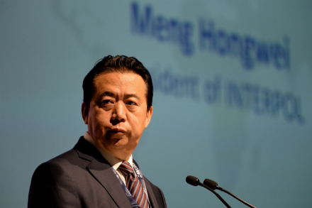interpol.jpg