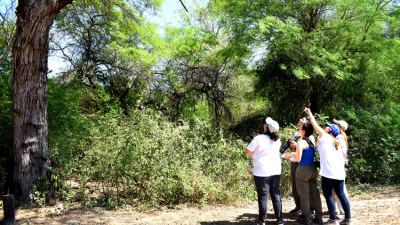 Más de cien especies registradas en el encuentro de observadores de aves en El Impenetrable