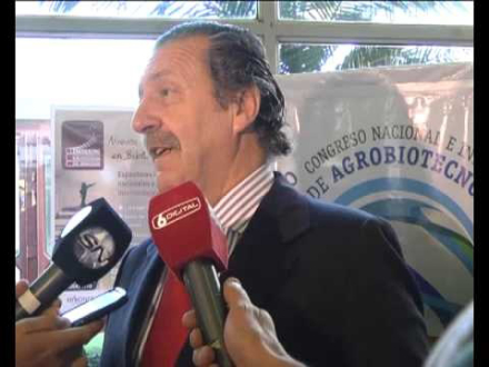 casella.jpg