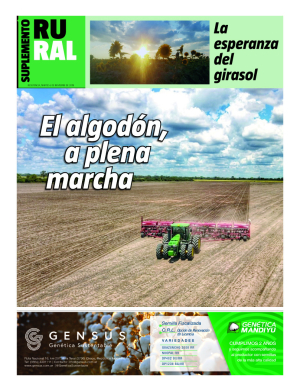El algodón a plena marcha