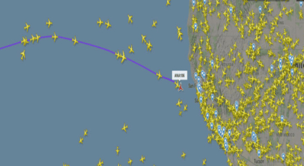 vuelo.jpg