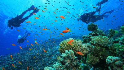 Un argentina murió en Tailandia mientras realizaba bautismo de buceo