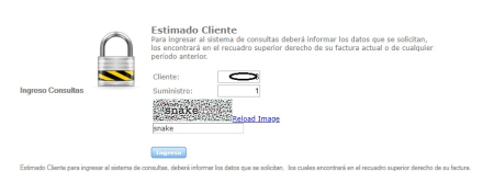 WEB2.JPG