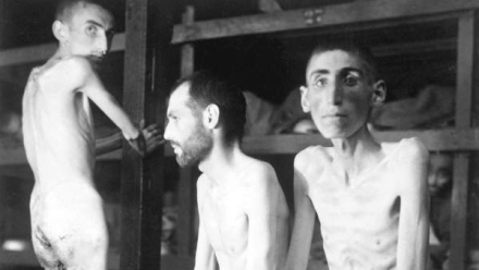 holocausto6.jpg