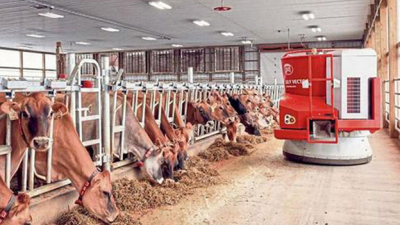 Visita a una granja con robots e incentivos para las vacas
