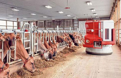 Visita a una granja con robots e incentivos para las vacas