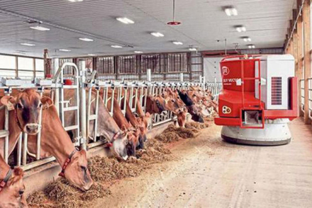 VACAS-INCENTIVADAS.jpg