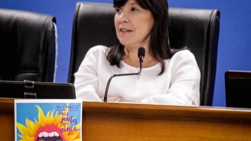 Cuesta instó a sancionar la emergencia provincial por Violencia de Género