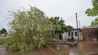 Tormenta con vientos de hasta 80 km/h provocó serios daños en Sáenz Peña