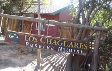 chaguares2.jpg