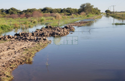 Duro golpe al algodón: intensas lluvias y fuerte viento norte complican la situación 