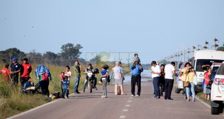 Gancedo-Pinedo 3.jpg